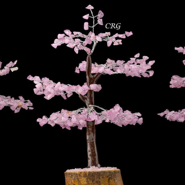 Rose Quartz 300 Chip Tree with Wood Base and Silver Wire (1 Piece) Size 9 Inches Crystal Gemstone TreeCrystal River Gems