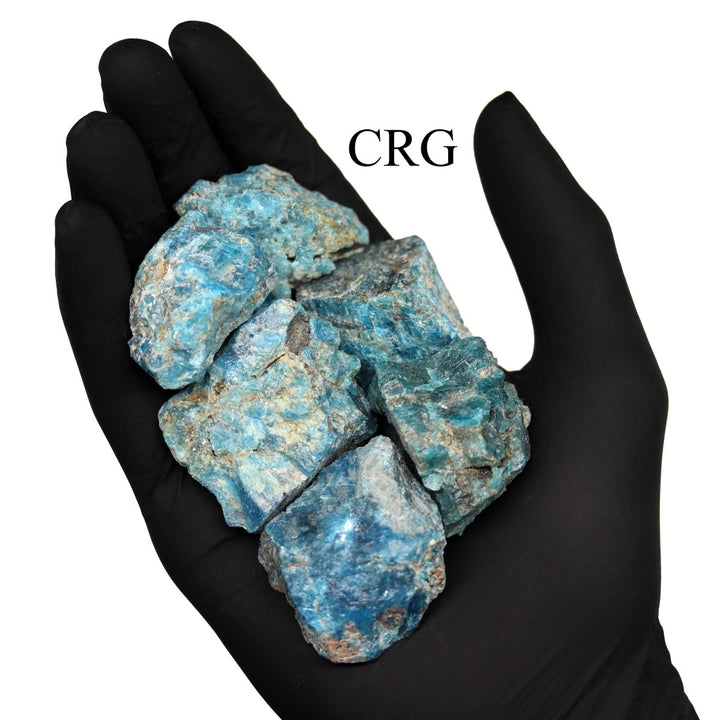 Rough Blue Apatite / 1 - 2" AVG - 1 KILO LOTCrystal River Gems