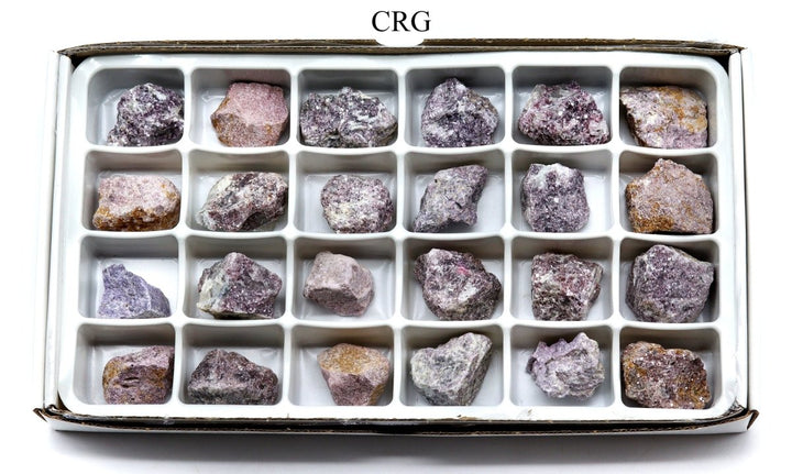 Rough Lepidolite Boxed Flat (24 Pieces) (1 to 1.5 Inches) Bulk Wholesale Crystals Minerals GemstonesCrystal River Gems