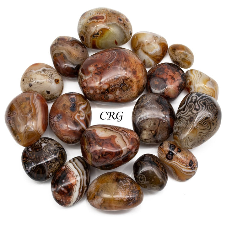 Tumbled Sardonyx Agate Eyes / 1" AVG - 4 OZ. LOTCrystal River Gems