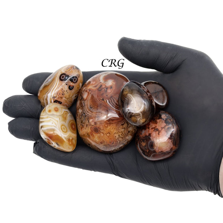 Tumbled Sardonyx Agate Eyes / 1" AVG - 4 OZ. LOTCrystal River Gems