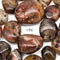 Sardonyx Agate Eyes Tumble 4oz - Crystal River Gems