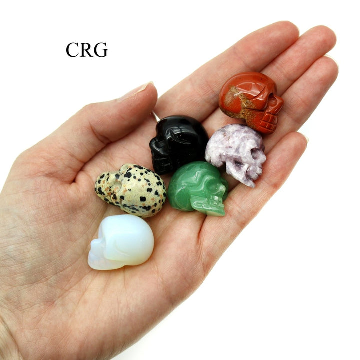 SET OF 12 - Mini Gemstone Skulls (No Drilled Hole) / 18 - 25mm AVGCrystal River Gems