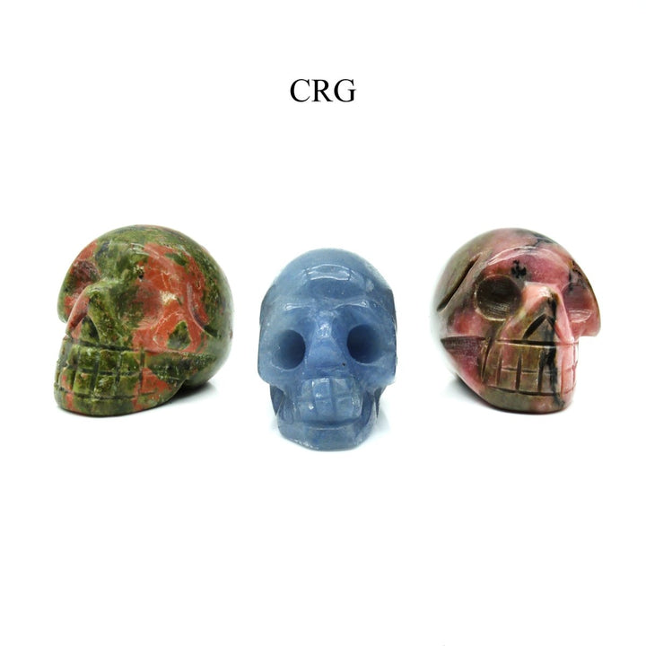 SET OF 12 - Mini Gemstone Skulls (No Drilled Hole) / 18 - 25mm AVGCrystal River Gems