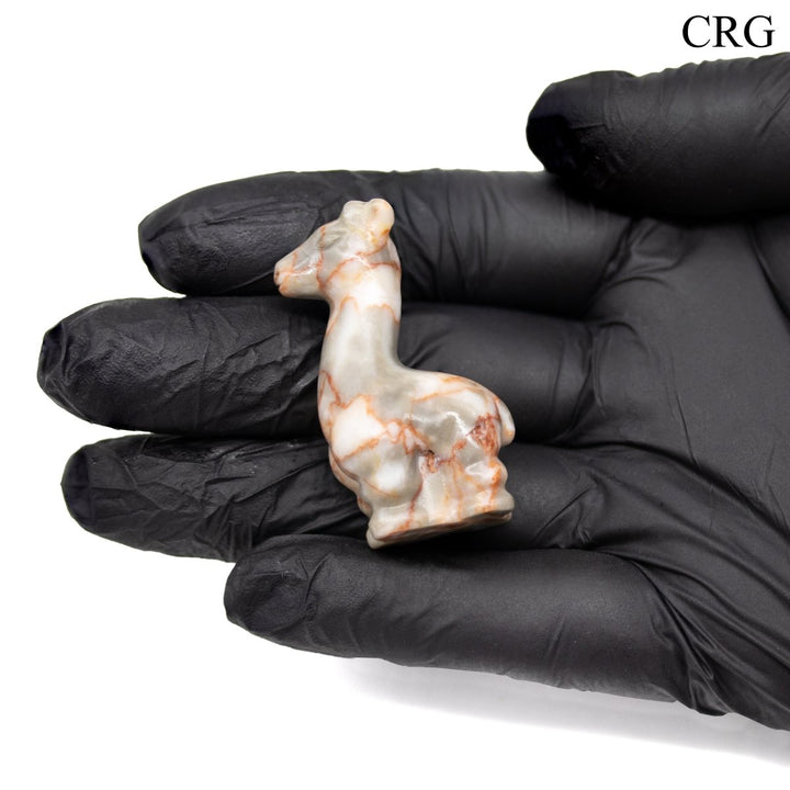 SET OF 2 - Assorted Gemstone Giraffes / 1.5" AVGCrystal River Gems