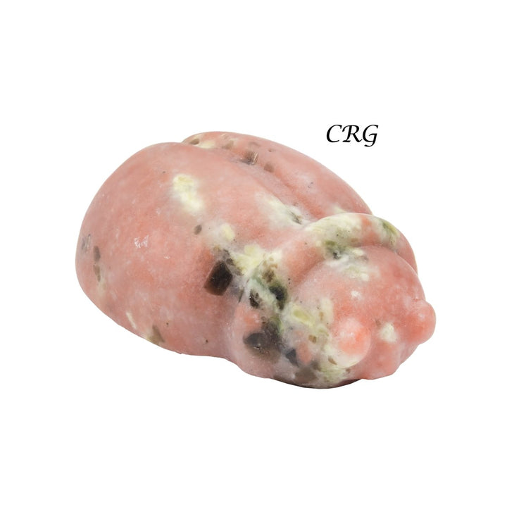 SET OF 4 - Mixed Gemstone Ladybugs / 2" AvgCrystal River Gems