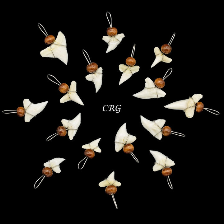 Shark Tooth Pendant with Wood Bead and Silver Wiring (4 Pieces) Size 15 mm Jewelry CharmCrystal River Gems