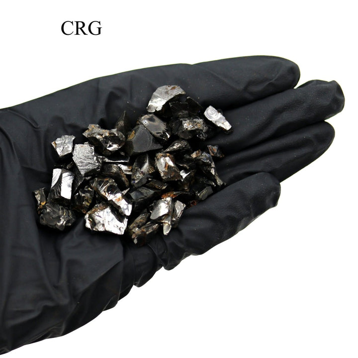 Shungite Small Elite Crystal (50 Grams) Size 0.5 to 1 Inch Raw Crystal Mineral Lot