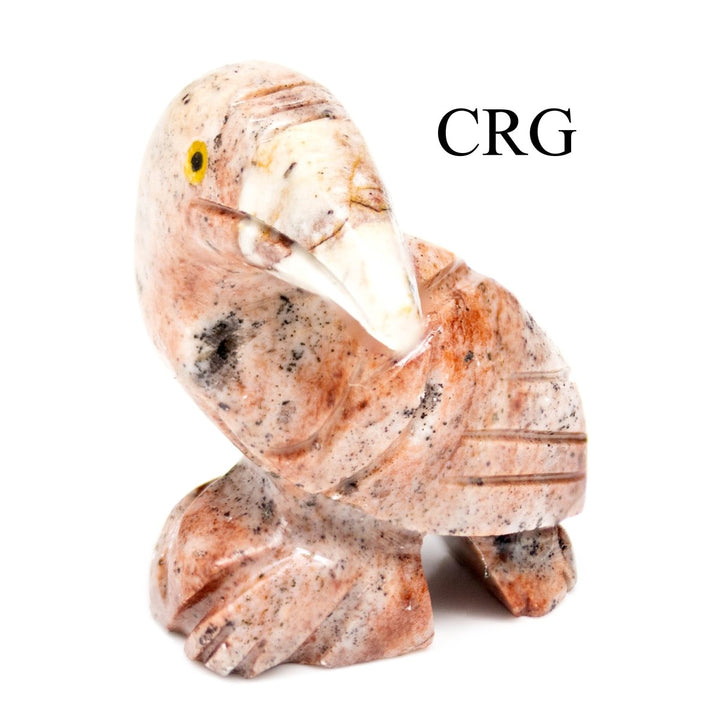 Soapstone Toucans (10 Pieces) Size 1.5 Inches Crystal Gemstone Animal CarvingsCrystal River Gems