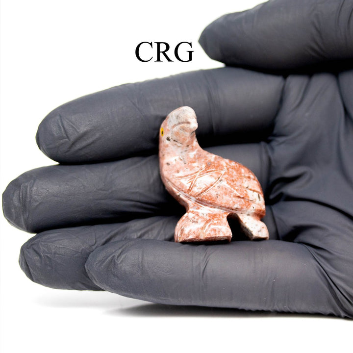 Soapstone Toucans (10 Pieces) Size 1.5 Inches Crystal Gemstone Animal CarvingsCrystal River Gems