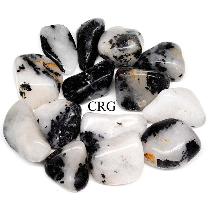 Tourmalated Quartz Tumbled (1 Pound) Size 1 to 2 Inches Wholesale Crystal LotCrystal River Gems
