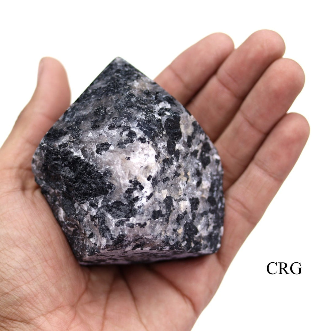 Tourmalinated Quartz Top Polished Points (3 Kilos) Size 2 to 3 Inches Standing Crystal Points Wholesale LotCrystal River Gems