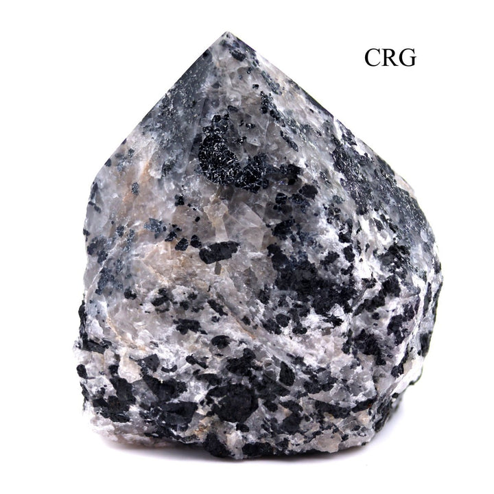 Tourmalinated Quartz Top Polished Points (3 Kilos) Size 2 to 3 Inches Standing Crystal Points Wholesale LotCrystal River Gems