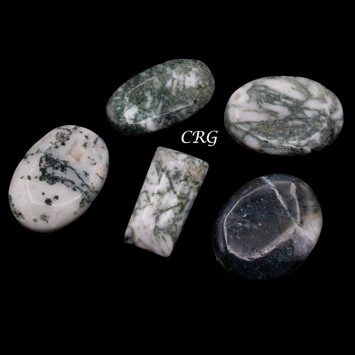 Tree Agate Cabochons (75 Grams) Mixed Sizes Bulk Wholesale Lot Crystal MineralsCrystal River Gems