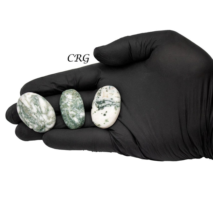 Tree Agate Cabochons (75 Grams) Mixed Sizes Bulk Wholesale Lot Crystal MineralsCrystal River Gems
