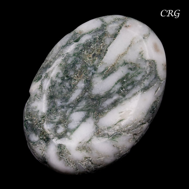 Tree Agate Cabochons (75 Grams) Mixed Sizes Bulk Wholesale Lot Crystal MineralsCrystal River Gems