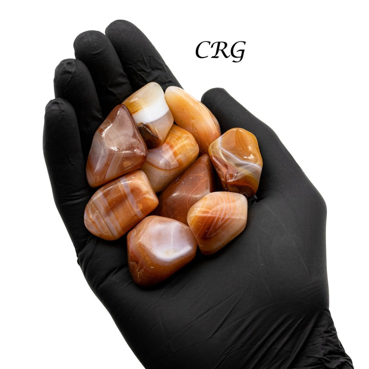 Tumbled Carnelian Agate / 1 - 2" AVG - 1 KILO LOTCrystal River Gems