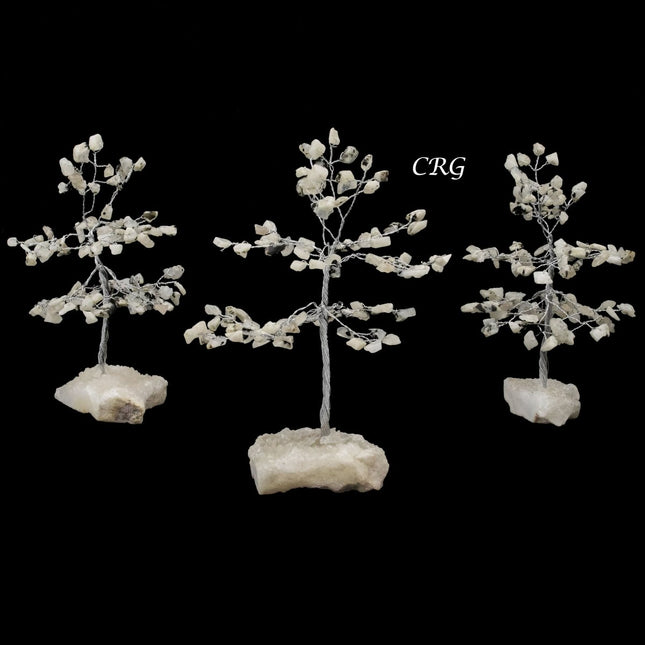 White Rainbow Moonstone 100 Chip Tree with Cut Cluster Base (1 Piece) Size 6 Inches Silver Wire Gemstone Tree