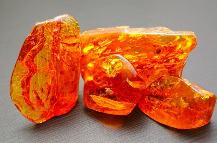 The Formation of Amber - Crystal River Gems