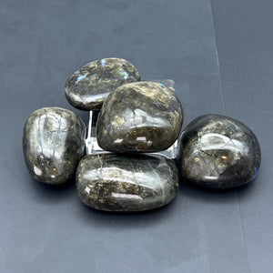 Labradorite Polished Gallet Palm Stone from Madagascar