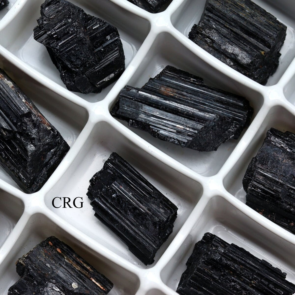 Rough Black Tourmaline Boxed Flat (24 Pieces) (1 to 1.5 Inches) Bulk Wholesale Crystals Minerals Gemstones