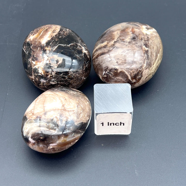 Black Mixed Moonstone Polished Palm Stone
