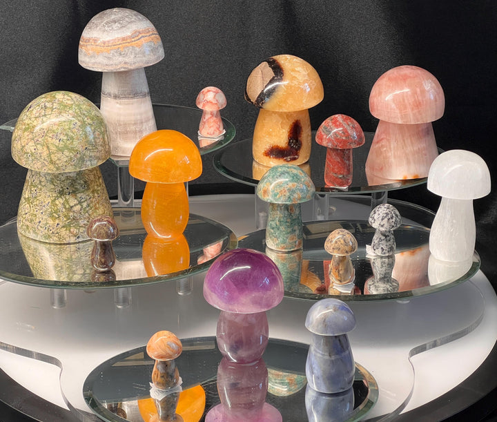 Mixed Gemstone Mushrooms Crystal Bundle Lot (15 Pieces) Bulk Wholesale Gemstone Décor Collection