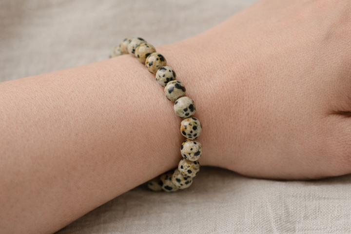 Dalmatian Jasper Round Bead Stretch Bracelet (8 mm)