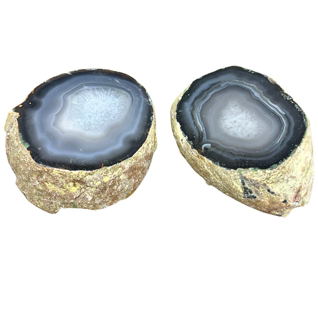 Agate EnHydro Geode (1 Piece)Crystal River Gems