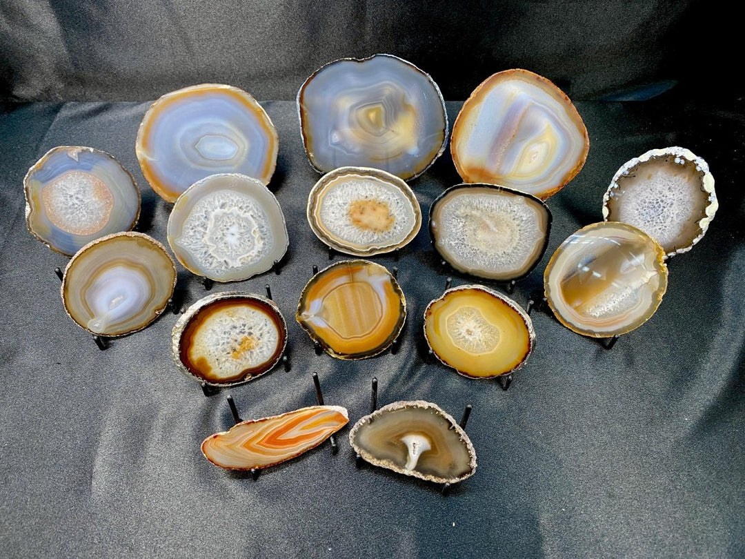 Agate Geode Slice Crystal Bundle Lot (15 Pieces) Bulk Wholesale Gemstone Décor CollectionCrystal River Gems