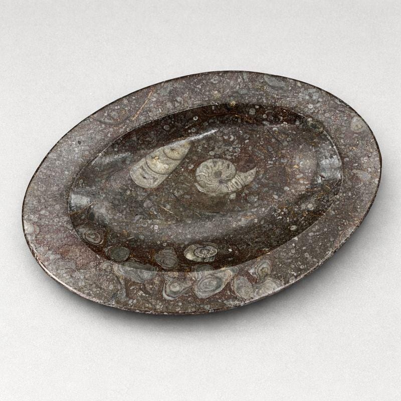 Ammonite and Orthoceras Fossil Bowl (1 Piece)Crystal River Gems