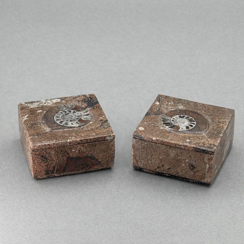 Ammonite Fossil Jewelry Square Box (1 Piece)Crystal River Gems
