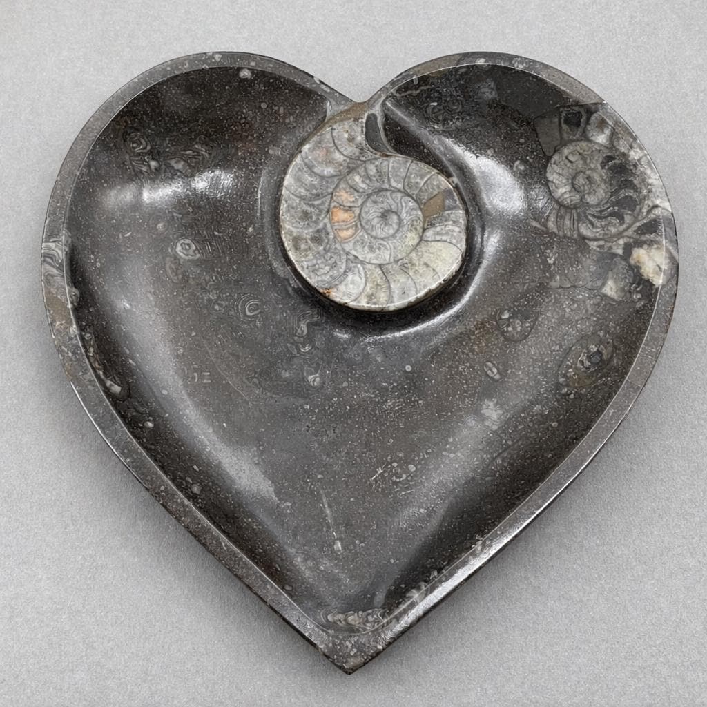 Ammonite Heart Plate 20CM (1 Piece)Crystal River Gems