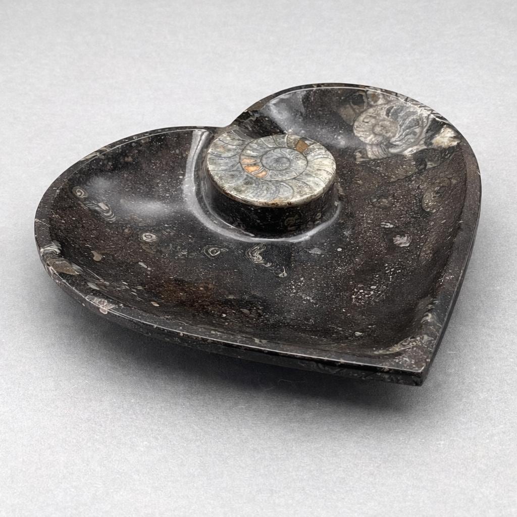 Ammonite Heart Plate 20CM (1 Piece)Crystal River Gems