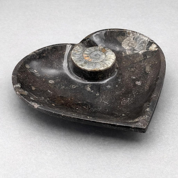 Ammonite Heart Plate 20CM (1 Piece)Crystal River Gems