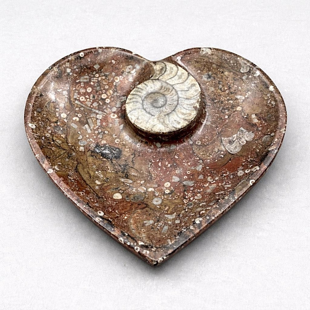 Ammonite Heart Plate 20CM (1 Piece)Crystal River Gems