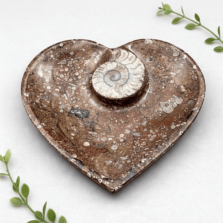 Ammonite Heart Plate 20CM (1 Piece)Crystal River Gems