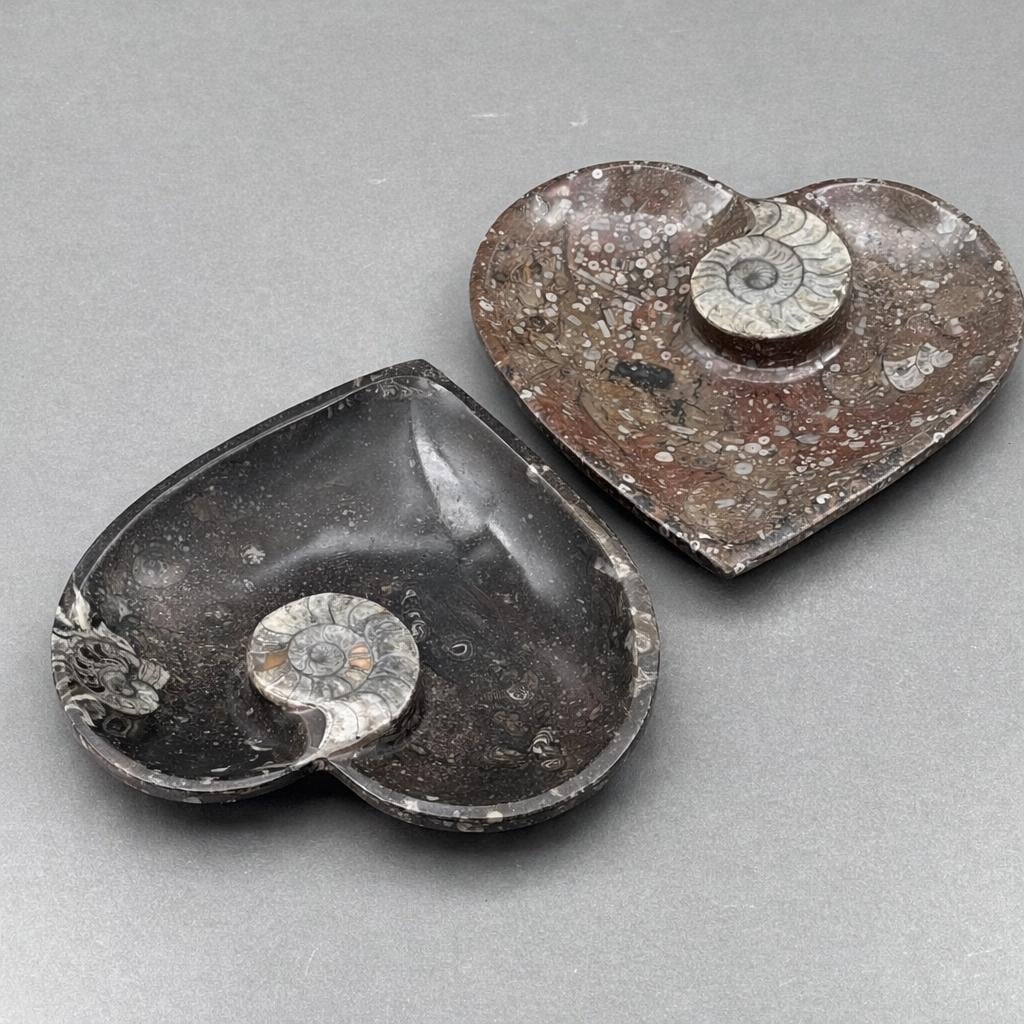 Ammonite Heart Plate 20CM (1 Piece)Crystal River Gems