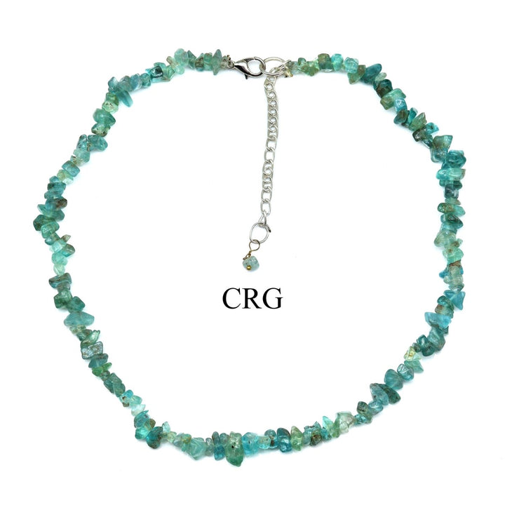 Apatite Strand Chip Choker Necklace (16 Inches) (4 Pieces)Crystal River Gems