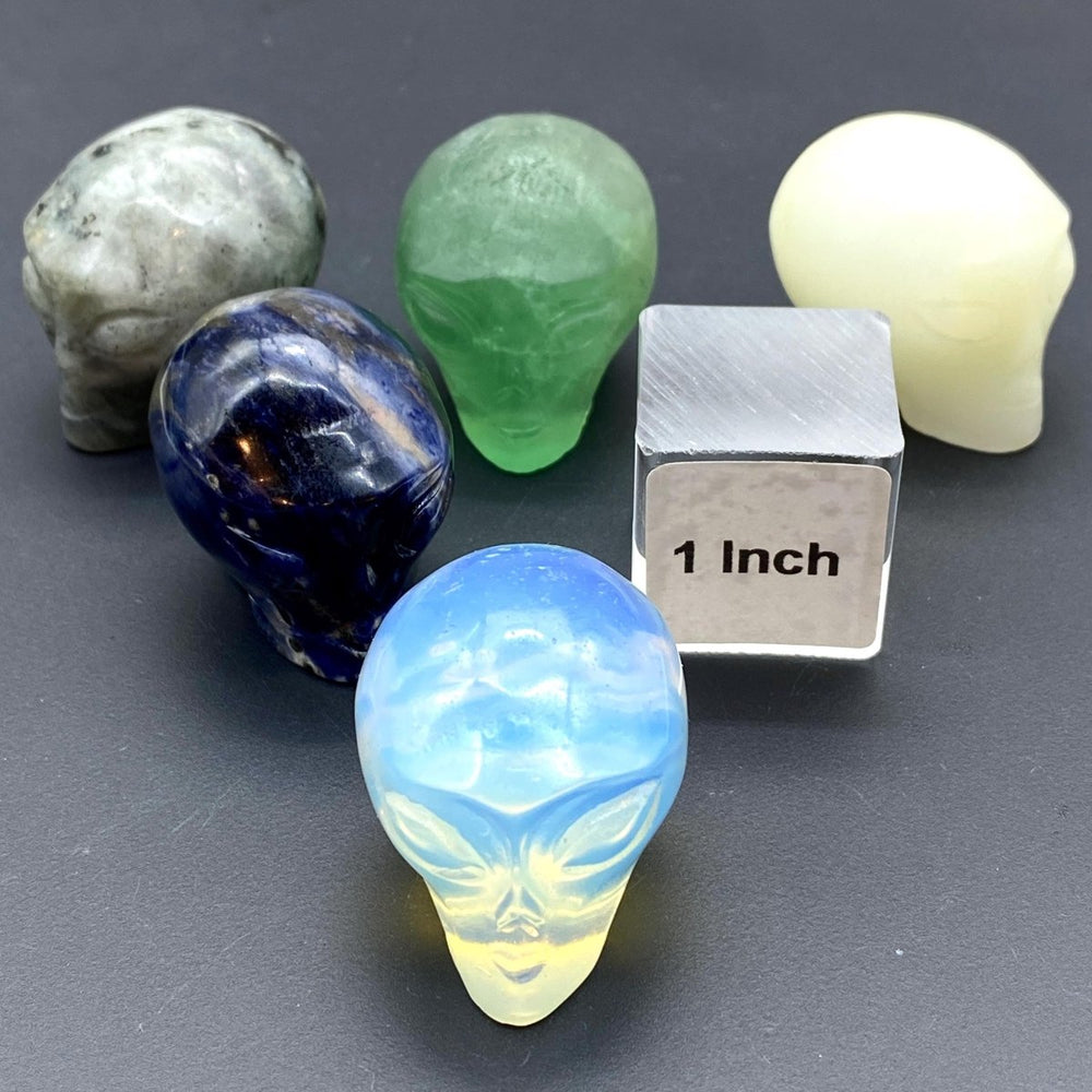 Assorted Gemstone Alien Head Skull CarvingCrystal River Gems