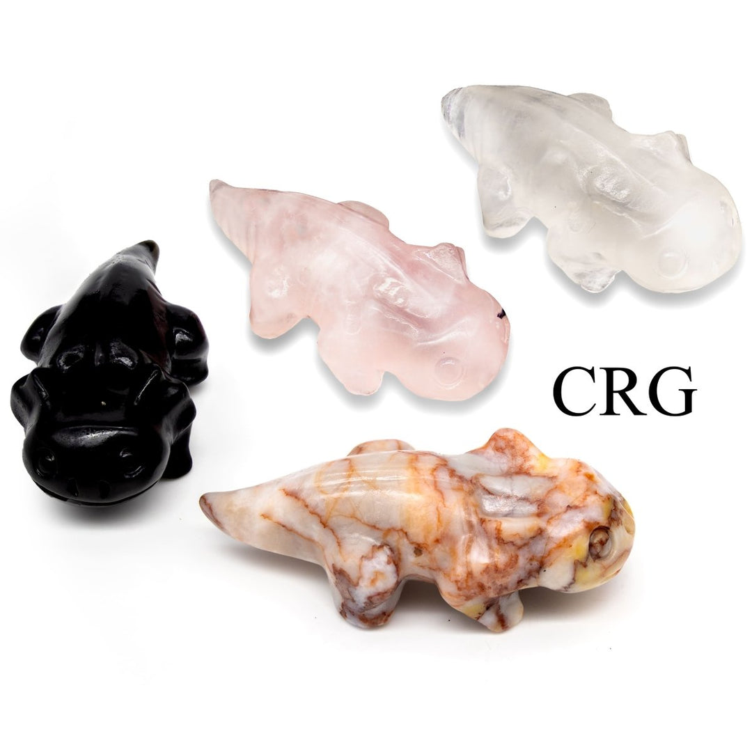 Assorted Gemstone Axolotl Carving (4 Pieces) Size 5 cm Mixed Crystal Animal Shape