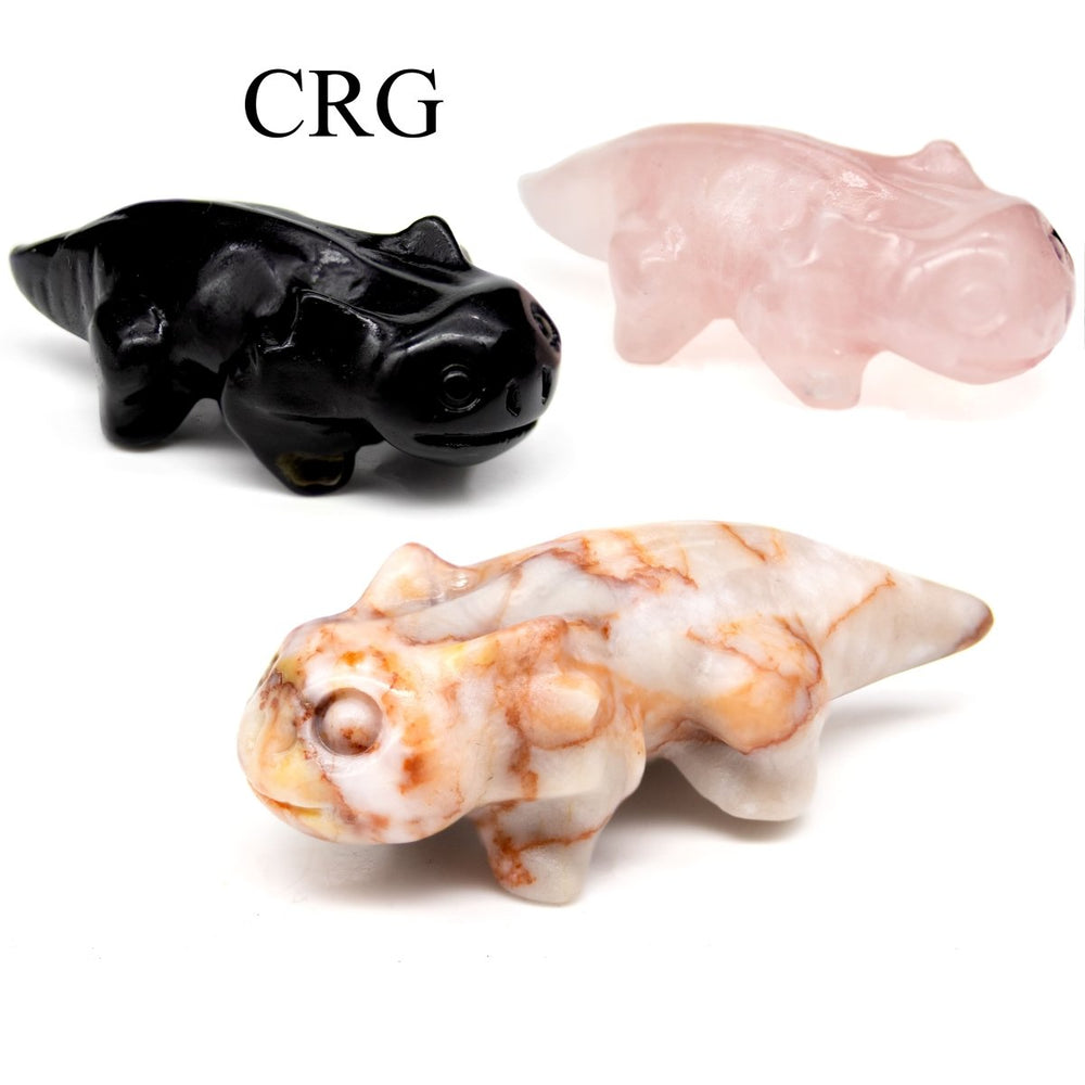 Assorted Gemstone Axolotl Carving (4 Pieces) Size 5 cm Mixed Crystal Animal Shape