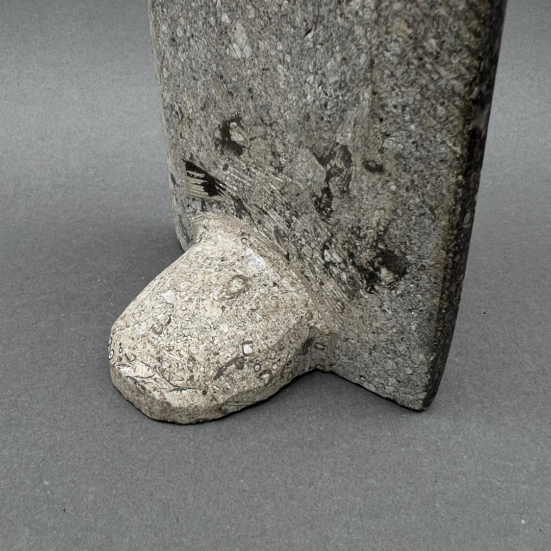 Tall Orthoceras Fossil Standing Display Sculpture (1 Piece) Size 11 to 13 Inches Crystal Gemstone Home Decor
