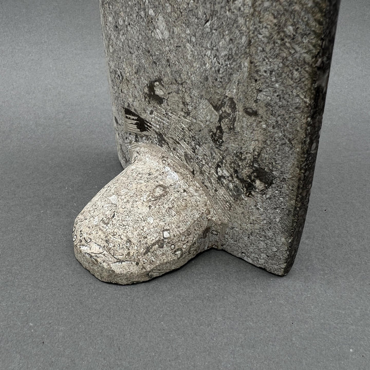 Tall Orthoceras Fossil Standing Display Sculpture (1 Piece) Size 11 to 13 Inches Crystal Gemstone Home Decor