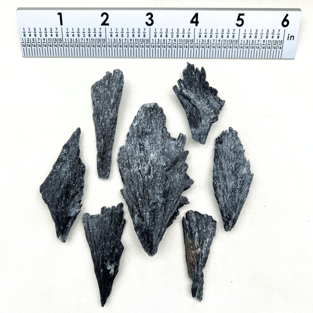 Black Kyanite Rough Fan Cluster (1 to 4 Inches) Bulk GemstonesCrystal River Gems