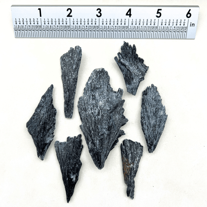 Black Kyanite Rough Fan Cluster (1 to 4 Inches) Bulk GemstonesCrystal River Gems