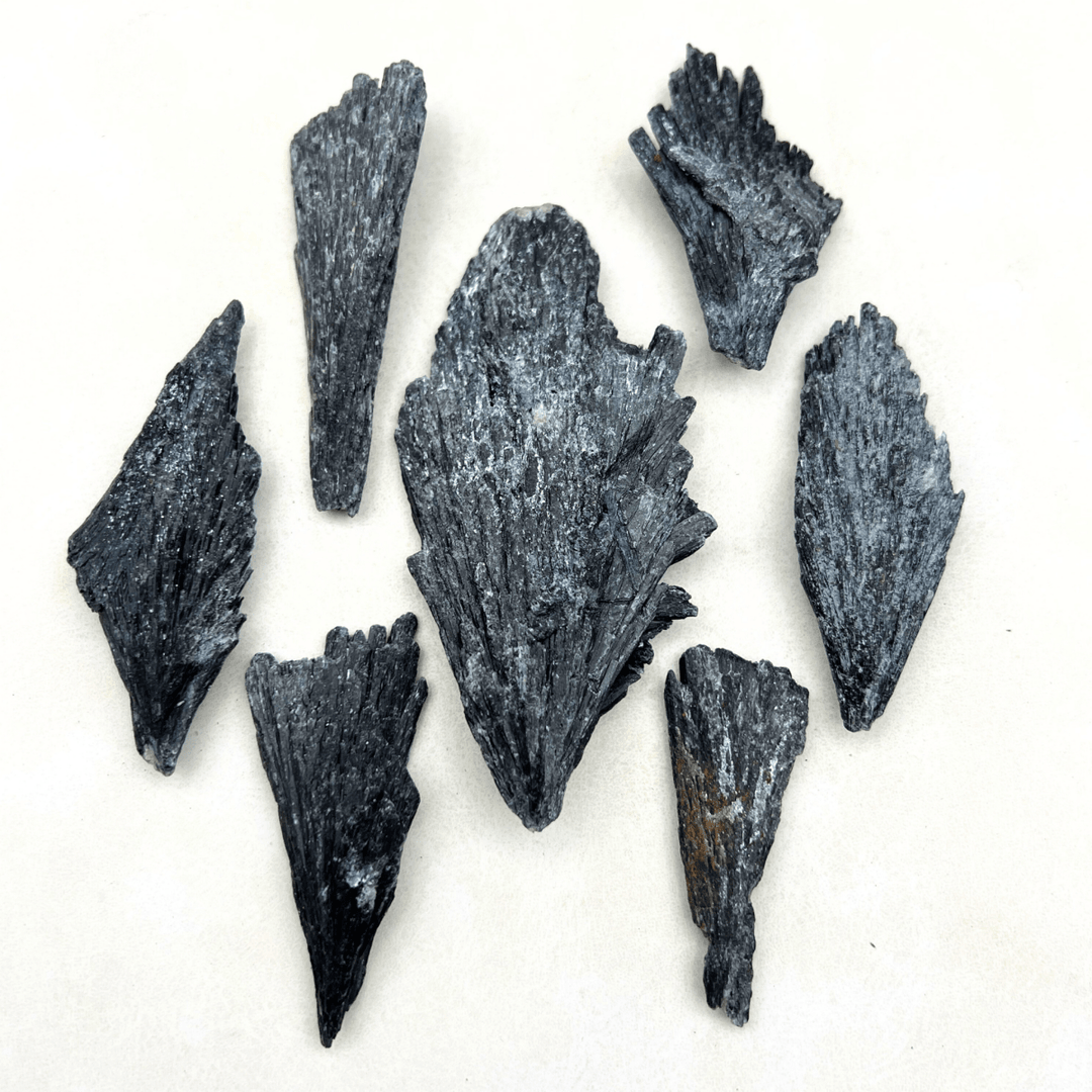 Black Kyanite Rough Fan Cluster (1 to 4 Inches) Bulk GemstonesCrystal River Gems