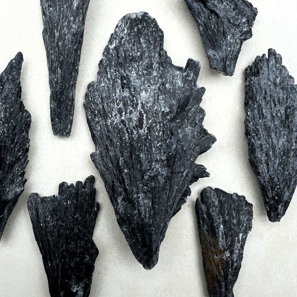 Black Kyanite Rough Fan Cluster (1 to 4 Inches) Bulk GemstonesCrystal River Gems