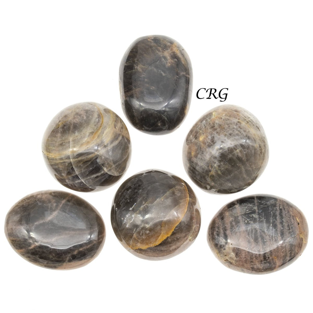 Black Moonstone Palm Stones / 1.5" AVG - 1 LB. LOT