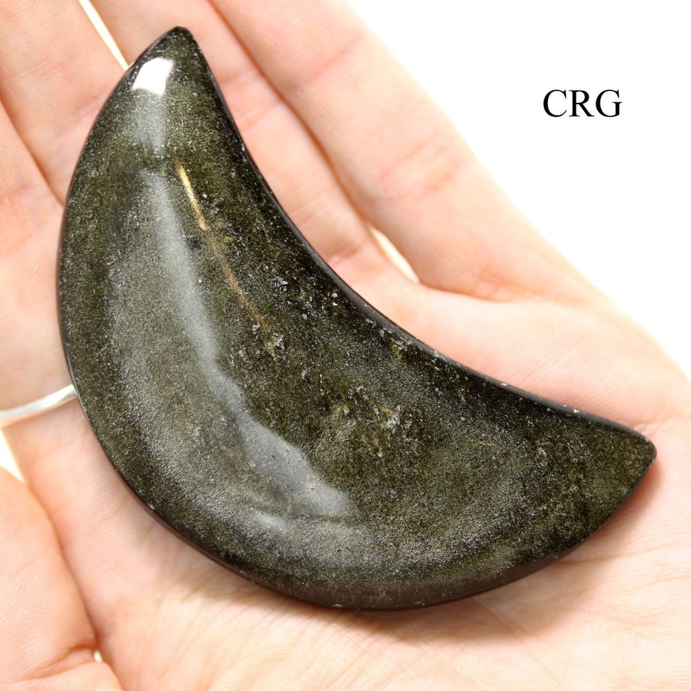 Black Obsidian Gold Sheen Crescent Moon (1 Piece) Size 2.5 to 3.5 Inches Small Crystal Gemstone